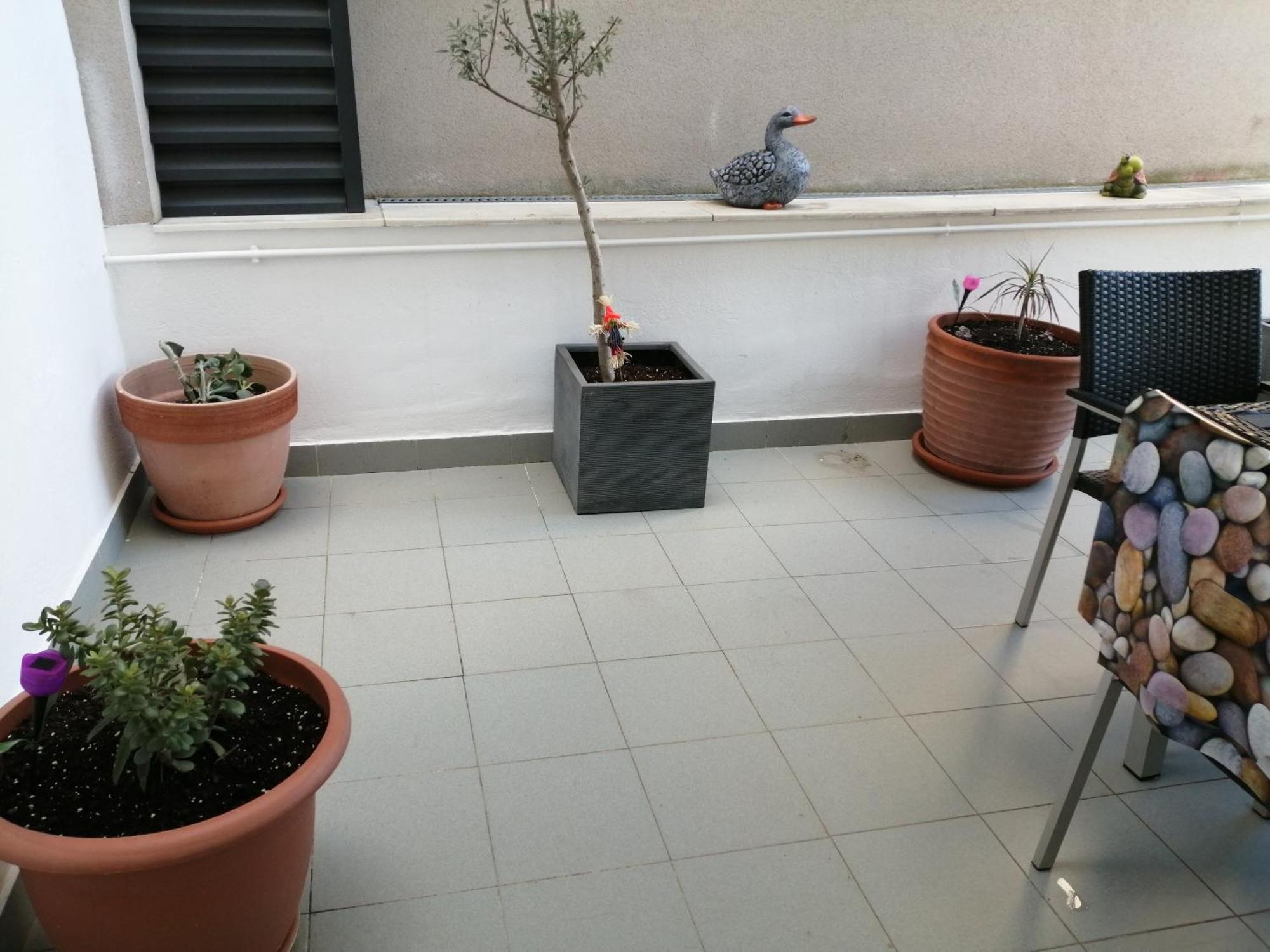 Apartaments Oller Centro روساس المظهر الخارجي الصورة